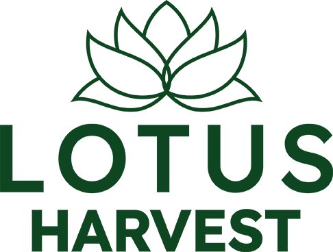 Lotus Harvest